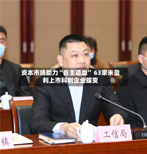 资本市场助力“自主造血	” 63家未盈利上市科创企业蝶变-第2张图片