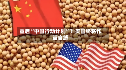 重启“中国行动计划	”？美国终将作茧自缚-第3张图片
