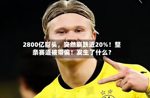 2800亿巨头，突然崩跌近20%！整条赛道被带偏！发生了什么？-第2张图片