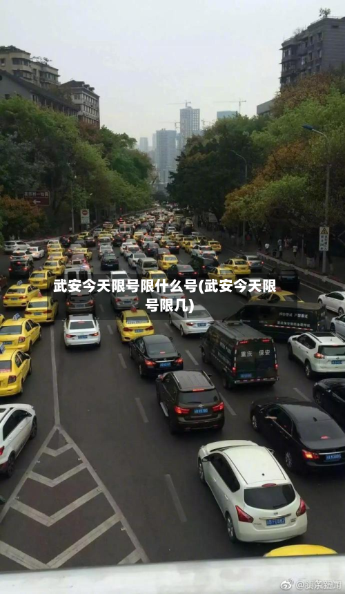 武安今天限号限什么号(武安今天限号限几)-第1张图片