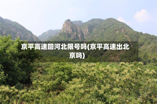 京平高速回河北限号吗(京平高速出北京吗)-第1张图片
