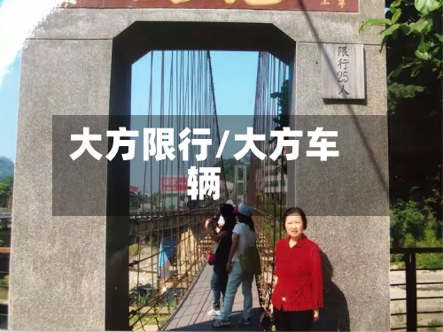 大方限行/大方车辆-第1张图片