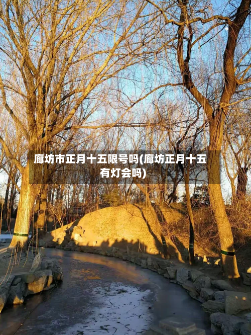 廊坊市正月十五限号吗(廊坊正月十五有灯会吗)-第1张图片