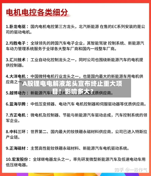 A股锂电电解液龙头宣布终止重大项目!影响多大?-第2张图片