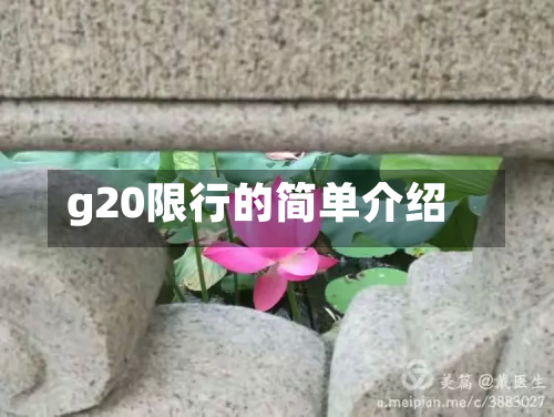 g20限行的简单介绍-第1张图片