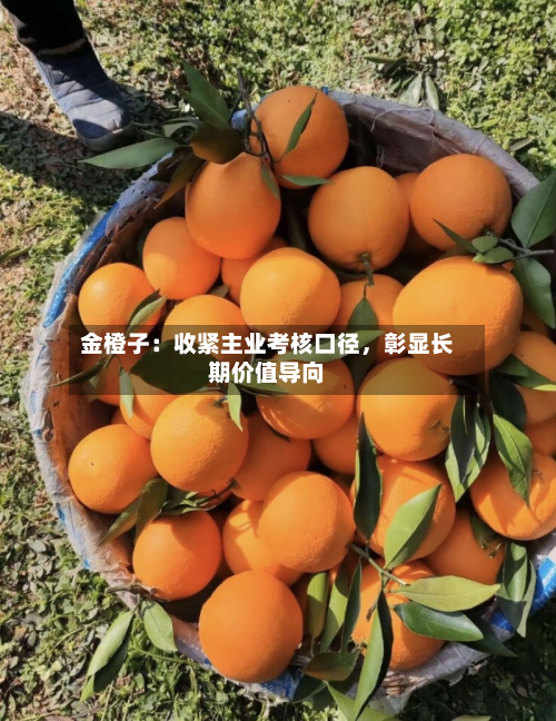 金橙子：收紧主业考核口径	，彰显长期价值导向-第2张图片