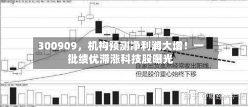 300909	，机构预测净利润大增！一批绩优滞涨科技股曝光-第2张图片