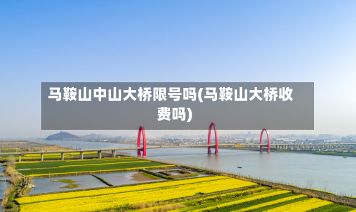马鞍山中山大桥限号吗(马鞍山大桥收费吗)-第1张图片