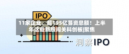 11家企业、超195亿募资总额！上半年这些新股闯关科创板|聚焦-第3张图片