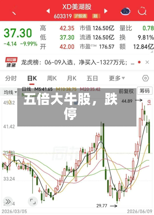 五倍大牛股，跌停-第2张图片