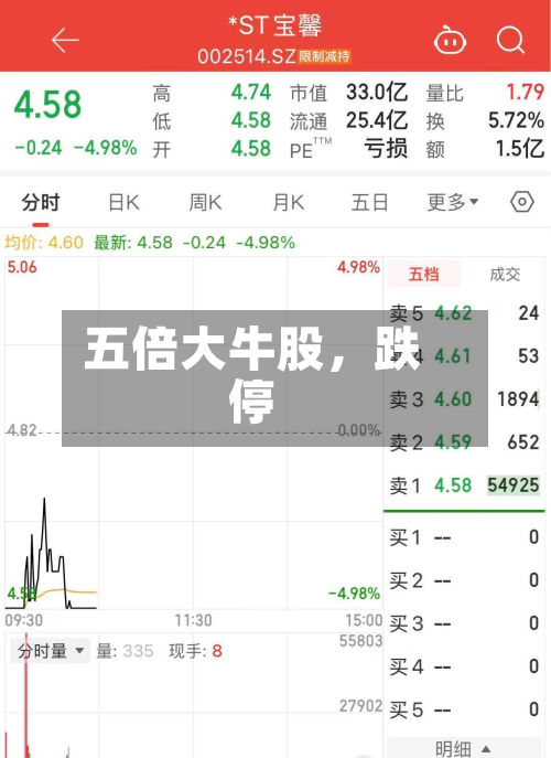 五倍大牛股，跌停-第3张图片