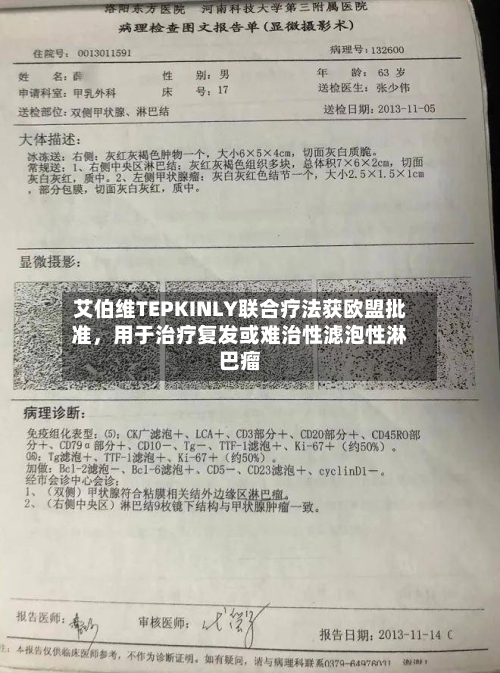 艾伯维TEPKINLY联合疗法获欧盟批准，用于治疗复发或难治性滤泡性淋巴瘤-第2张图片
