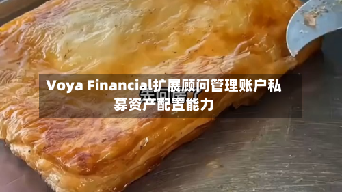 Voya Financial扩展顾问管理账户私募资产配置能力-第1张图片