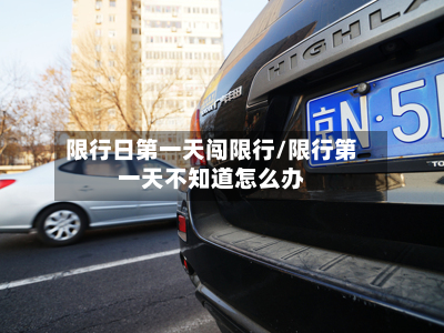 限行日之一天闯限行/限行之一天不知道怎么办