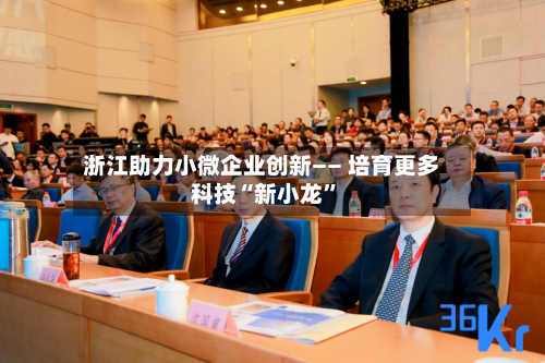 浙江助力小微企业创新—— 培育更多科技“新小龙”-第3张图片