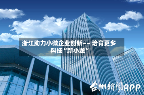 浙江助力小微企业创新—— 培育更多科技“新小龙”-第2张图片