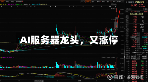 AI服务器龙头，又涨停-第3张图片