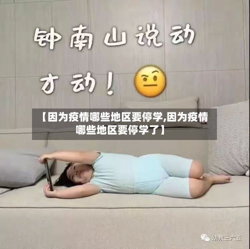 【因为疫情哪些地区要停学,因为疫情哪些地区要停学了】-第1张图片