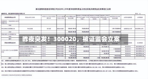 昨夜突发！300020，被证监会立案-第3张图片