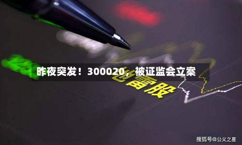 昨夜突发！300020，被证监会立案-第2张图片