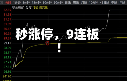 秒涨停，9连板！-第2张图片