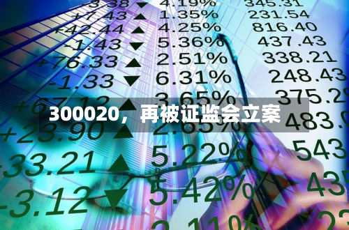 300020，再被证监会立案-第2张图片