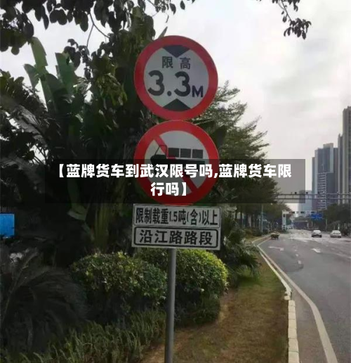 【蓝牌货车到武汉限号吗,蓝牌货车限行吗】-第2张图片