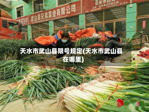 天水市武山县限号规定(天水市武山县在哪里)-第1张图片