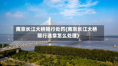 南京长江大桥限行处罚(南京长江大桥限行违章怎么处理)-第1张图片