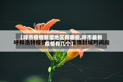 【呼市疫情新增地区有哪些,呼市最新疫情有几个】-第1张图片