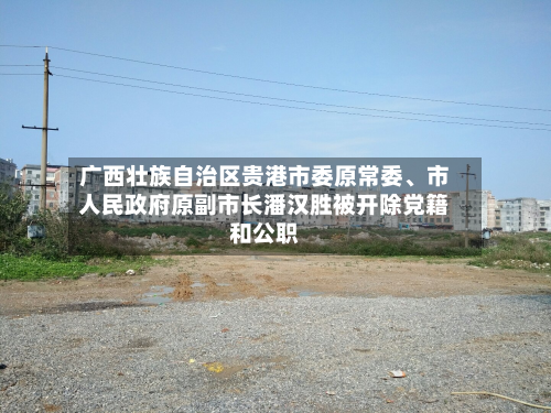 广西壮族自治区贵港市委原常委	、市人民政府原副市长潘汉胜被开除党籍和公职-第3张图片