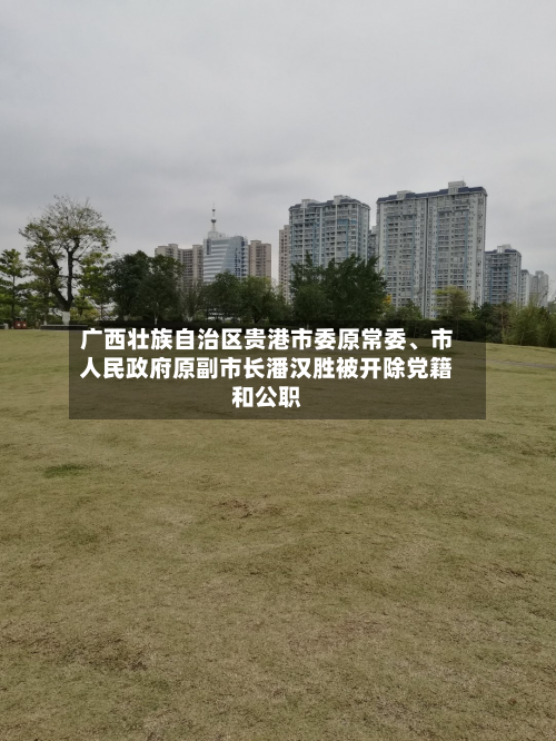 广西壮族自治区贵港市委原常委、市人民政府原副市长潘汉胜被开除党籍和公职-第2张图片