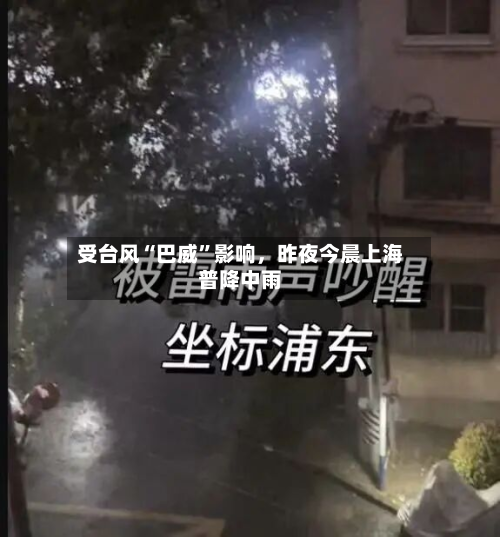 受台风“巴威”影响，昨夜今晨上海普降中雨-第3张图片