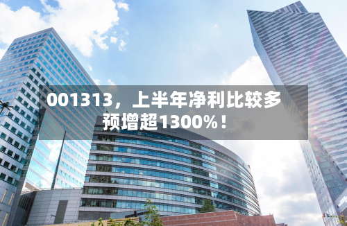 001313，上半年净利比较多预增超1300%！-第3张图片