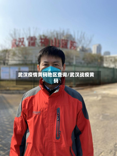 武汉疫情黄码地区查询/武汉战疫黄码-第1张图片