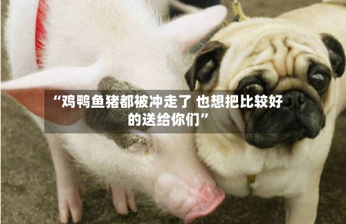 “鸡鸭鱼猪都被冲走了 也想把比较好的送给你们”-第3张图片