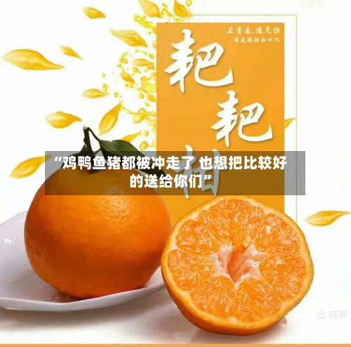 “鸡鸭鱼猪都被冲走了 也想把比较好的送给你们	”-第2张图片