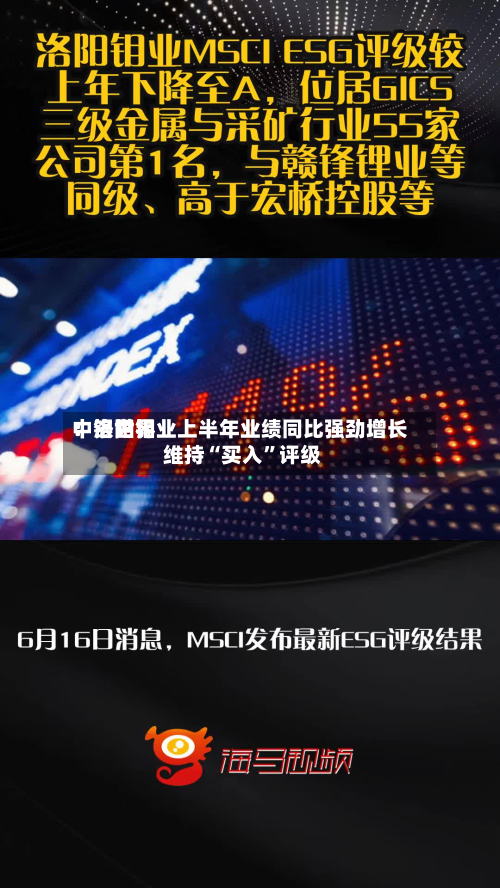 中银世界：洛阳钼业上半年业绩同比强劲增长 维持“买入”评级-第3张图片