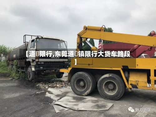 【道滘限行,东莞道滘镇限行大货车路段】-第1张图片