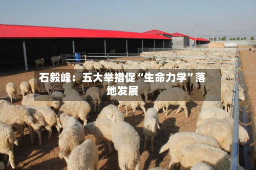 石毅峰：五大举措促“生命力学”落地发展-第2张图片