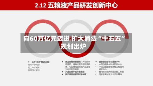 向60万亿元迈进 扩大消费“十五五”规划出炉-第3张图片