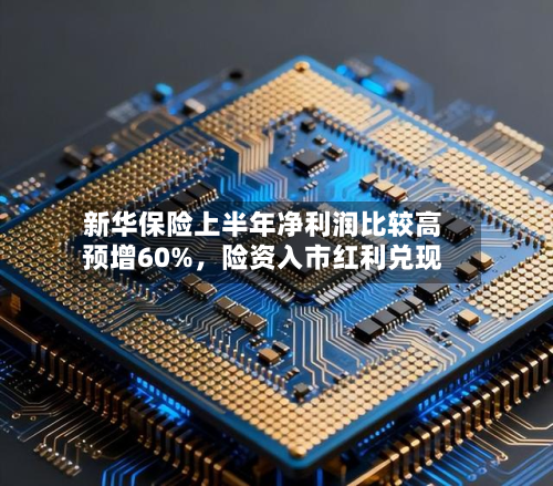 新华保险上半年净利润比较高预增60%，险资入市红利兑现-第3张图片
