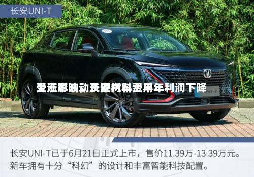 受汇率波动及原材料费用上涨影响，长安汽车上半年利润下降