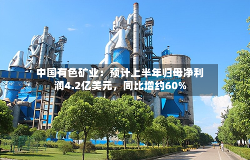 中国有色矿业：预计上半年归母净利润4.2亿美元，同比增约60%-第2张图片