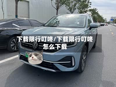 下载限行叮咚/下载限行叮咚怎么下载-第1张图片