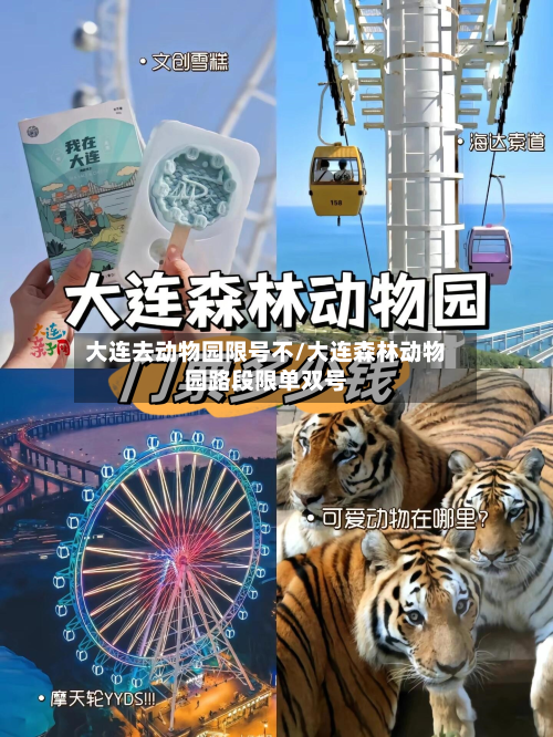 大连去动物园限号不/大连森林动物园路段限单双号-第1张图片