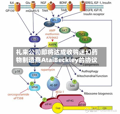 礼来公司即将达成收购 *** 物制造商AtaiBeckley的协议