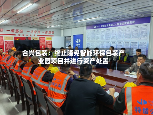 合兴包装:终止隆尧智能环保包装产业园项目并进行资产处置-第2张图片