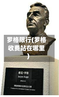 罗格限行(罗格收费站在哪里)-第1张图片