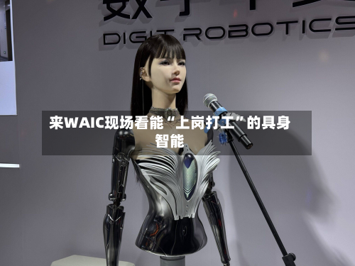 来WAIC现场看能“上岗打工”的具身智能-第3张图片